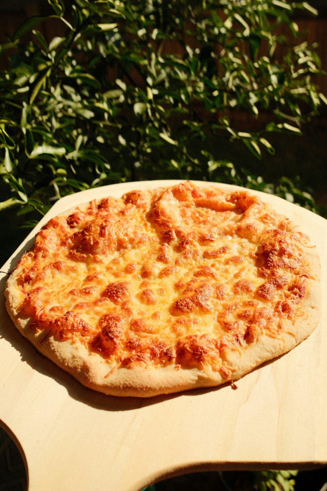 The Perfect Pizza and Wine Pairings
